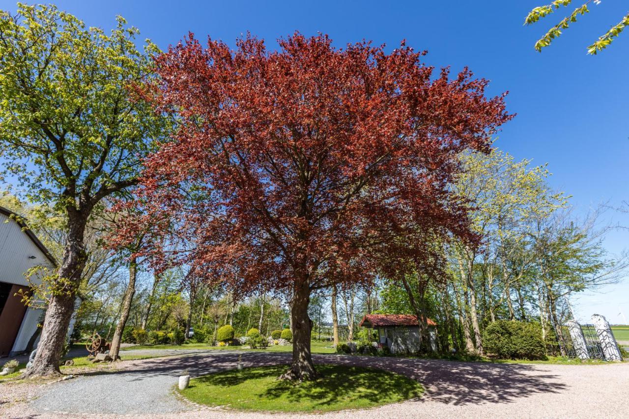 Denkerhof Ferienwohnung Sodalith Reussenkoge Экстерьер фото